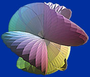 Scientific WorkPlace from MacKichan Software.