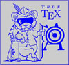 Scientific WorkPlace and Scientific Word include the TrueTeX implementation of TeX, including a DVI previewer that uses TrueType fonts.
