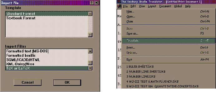 Import File screen and Translator screen